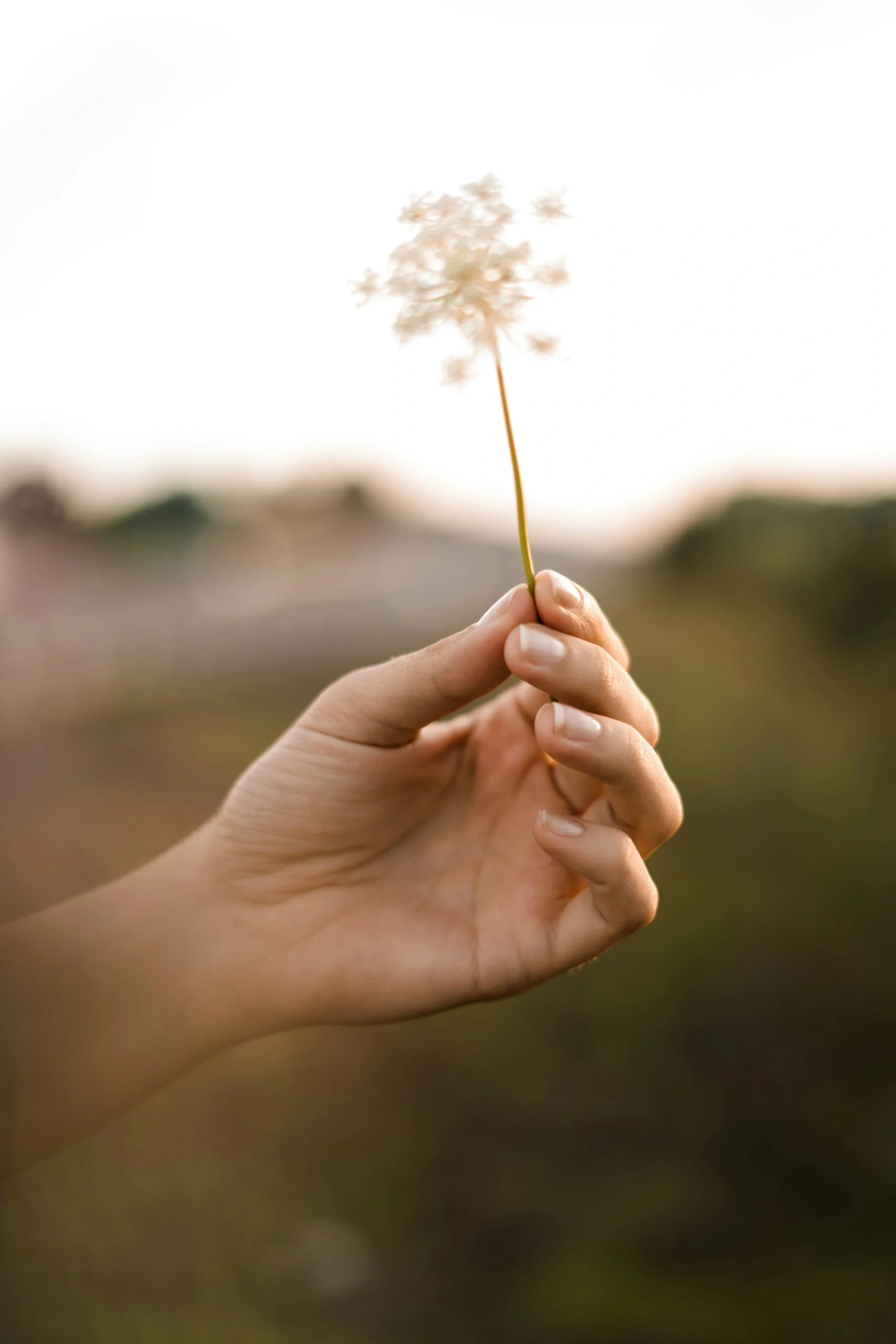 Frau haelt Pusteblume scaled